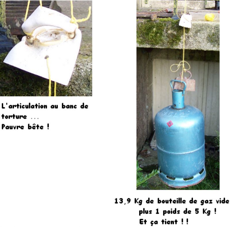 image009.png